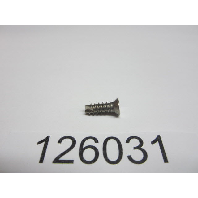 screw 0126031