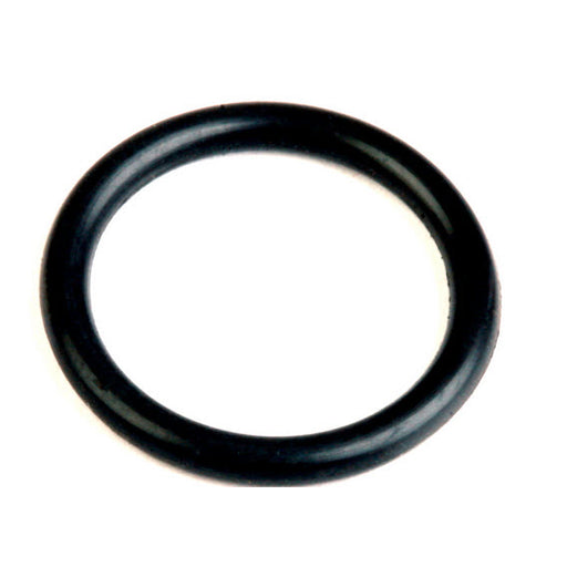Johnson Evinrdue O-Ring 0202893 202893