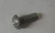 Evinrude Johnson screw 0303394