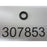 Johnson Evinrude BRP Seal, Screw 0307853 307853