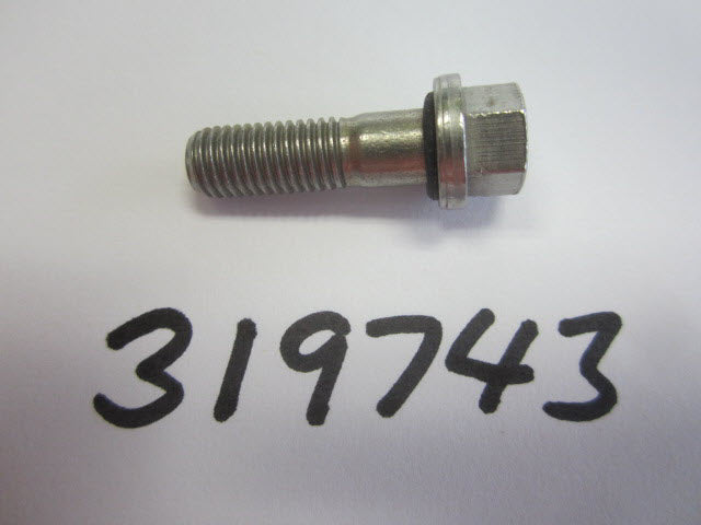 Evinrude Johnson sst screw 0319743