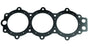 Johnson Evinrude BRP Hd Gasket 0329836 329836