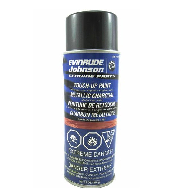 SPRAY PAINT CHARCOAL 777173