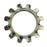 Lockwasher  13-39131