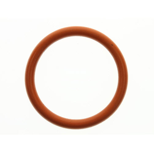 Shift Shaft Bushing O-Ring  25-25439
