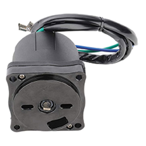 Trim Motor