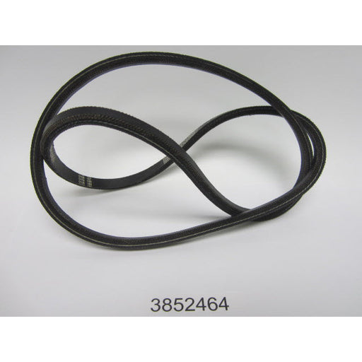 Johnson Evinrude BRP Belt, Pwr Steer 3852464