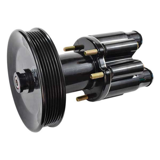 Pump w/Pulley 46-807151A9