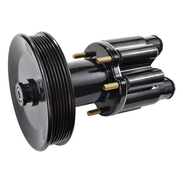 Pump w/Pulley 46-807151A9