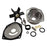 Water Pump Kit