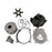 JOHNSON EVINRUDE BRP  WATER PUMP KIT 5011599