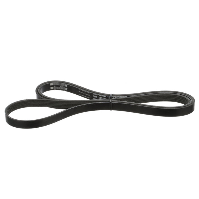 Belt-Serpentine 57-865615Q06