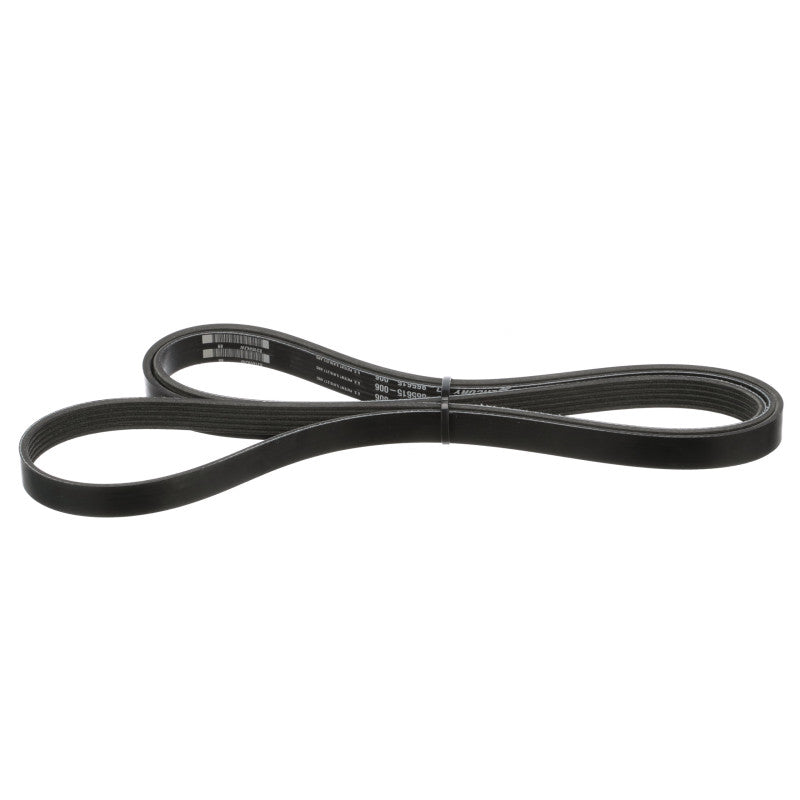 Belt-Serpentine 57-865615Q06