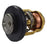 Thermostat 6H3-12411-11-00