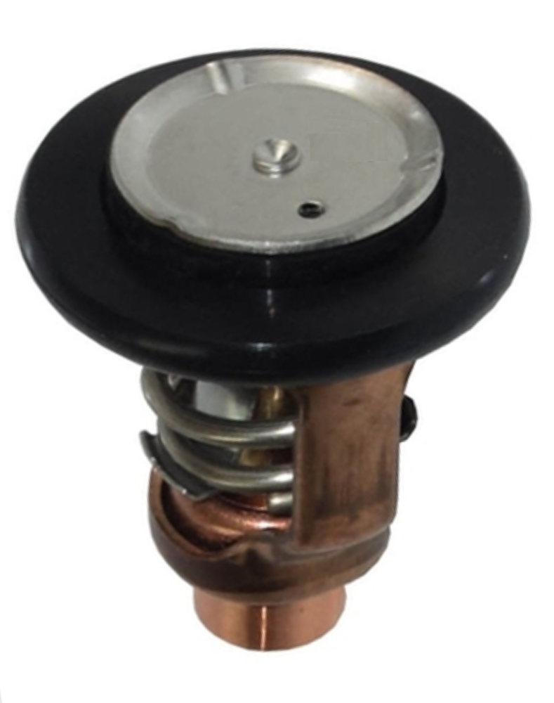 Thermostat 6DA-12411-01-00