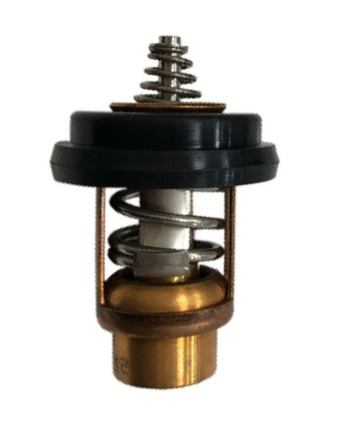Thermostat 8M0228409