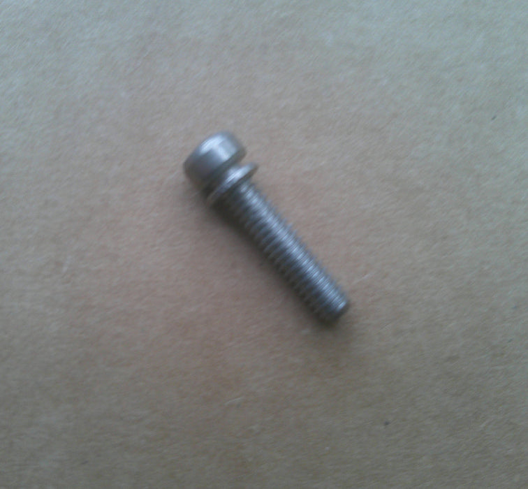 Screw/Washer 1395-808612