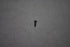 screw  10-808039