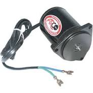 TRIM MOTOR,435548