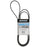 Belt-Serpentine 57-865635Q02